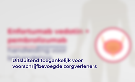 EV + P - handleiding voor behandeling WEB.png