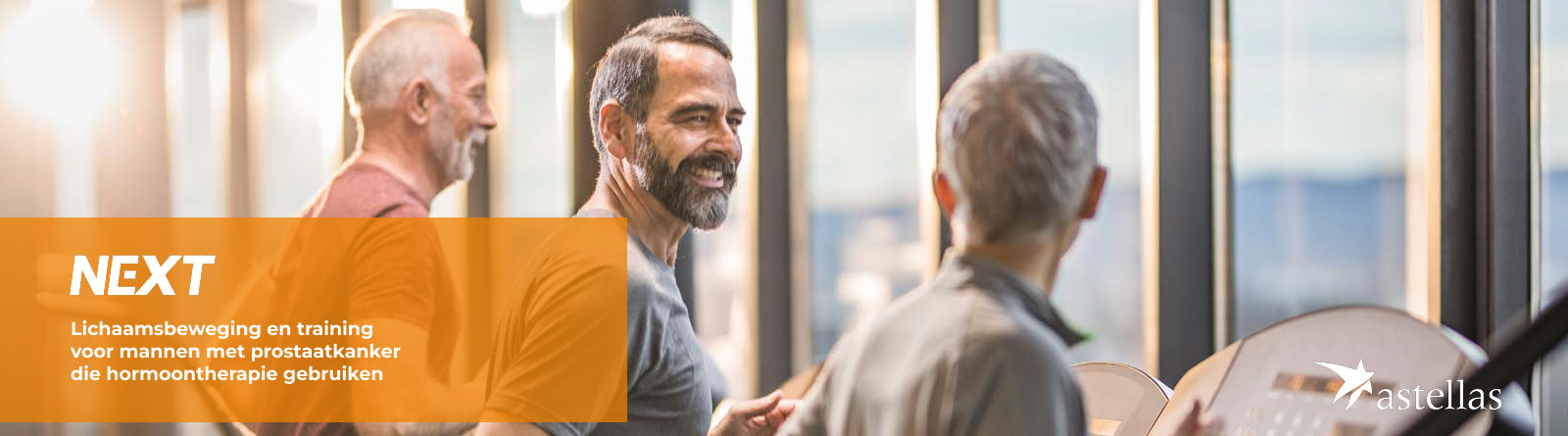 NEXT programma - banner r3_0.png